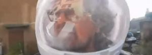 Tacnici, Beppe Grillo con il casco da astronauta