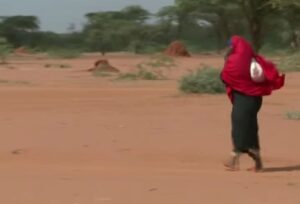 Padre Zanotelli, Una donna nel deserto somalo